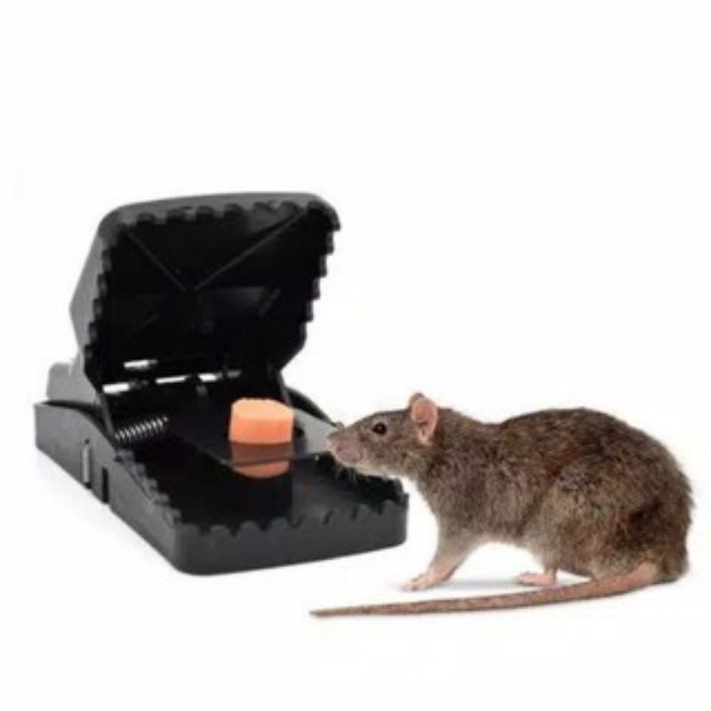 Jebakan Tikus Mouse Trap Super