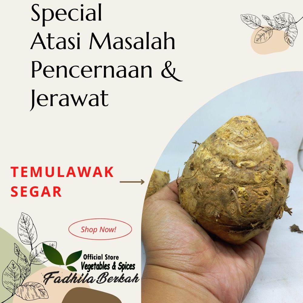 

temulawak original 1 KG | cheapest ginger 1 KG | Temulawak Asli 1kg | Bahan temulawak cream roror mendut kering malam siang kaca| Minuman temulawak| Bahan bubuk temulawak| Obat lambung| kesehatan pencernaan| Detok racun| Minuman sehat| Resep JSR