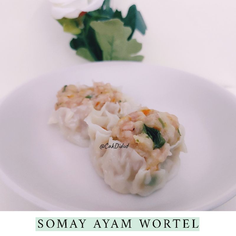 

SOMAY SIOMAY AYAM FROZEN ISI 10 PCS