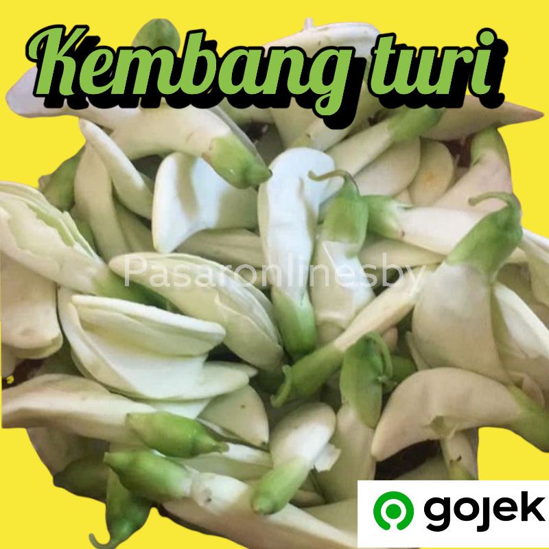 

Kembang / Bunga Turi - Per Pack