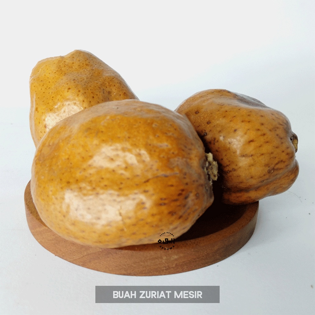 Buah Zuriat Promil 1Kg / Buah Zuriat Ibnu Sina / Premium Zuriat / ZURIAT MESIR / DZURIAT PROMIL / BUAH ZURIAT MESIR