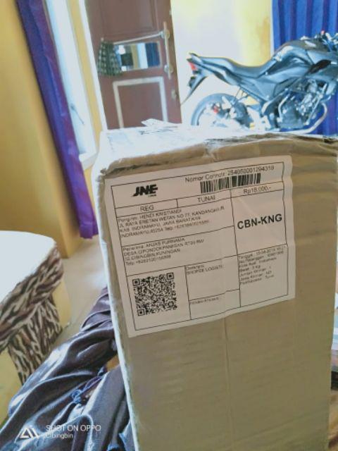 Samurai Paint Sparkling Gold 1123 Cat Semprot Pylox 400ml