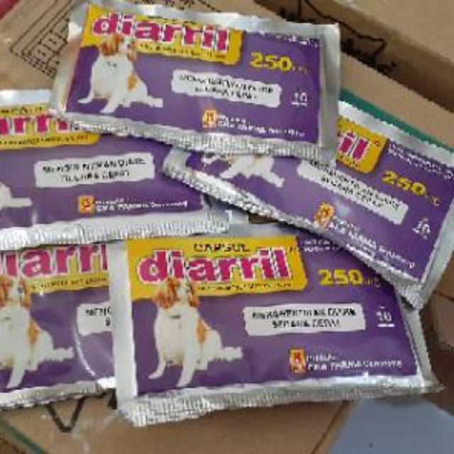 Obat Mencret Anjing Diare Anjing Diarril