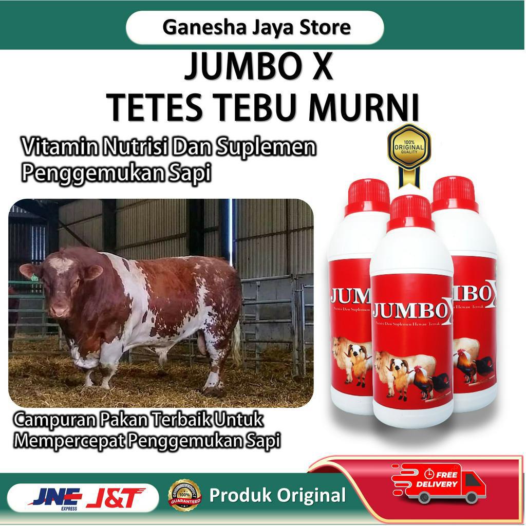 jumbo x vitamin untuk hewan ternak nutrisi dan suplemen untuk hewan ternak penggemukkan hewan ternak