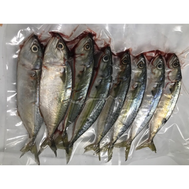 

Kembung Banjar Fresh 1 kg (isi 6 - 8 ekor)