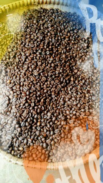 Kopi Sangrai Roasted Robusta Semi Natural Jabal Coffee Kopi Temanggung