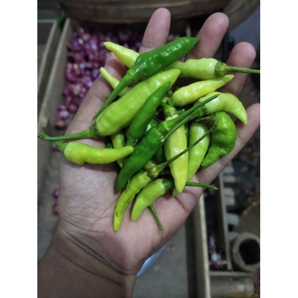 

[JATIM] Cabe/Cabai/Lombok 1 KG