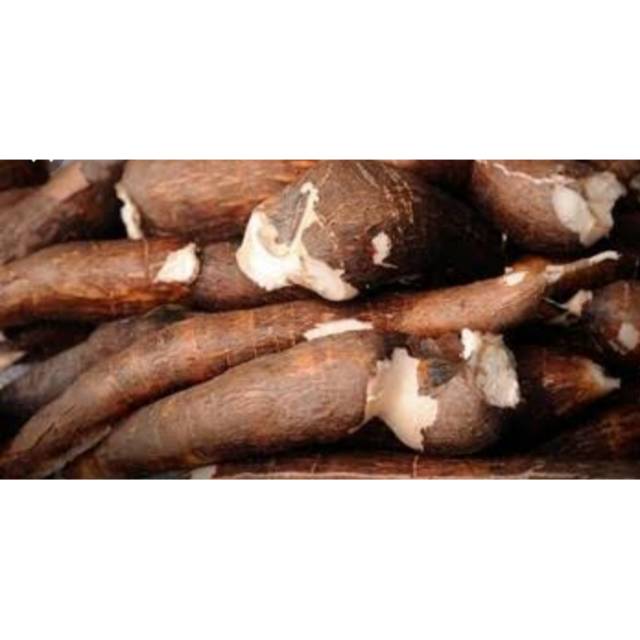

Singkong / 1kg