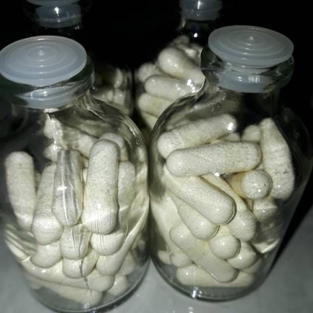 Gamad kapsul / gamat kapsul / teripang emas / tripang emas / jelly gamat