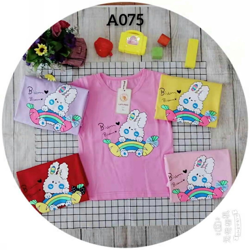 PAKET 1 LUSIN KAOS ANAK PEREMPUAN 1-5 TAHUN/KAOS ANAK PEREMPUAN IMPORT ADEM TEBALL#COD BAYAR DI TEMPAT