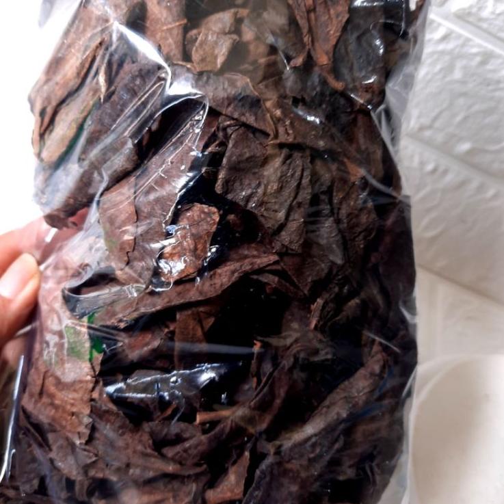 

Star 8.8 Daun KETAPANG LAUT 150gram Olahan SPESIAL+ Fermentasi Kering Siap Pakai