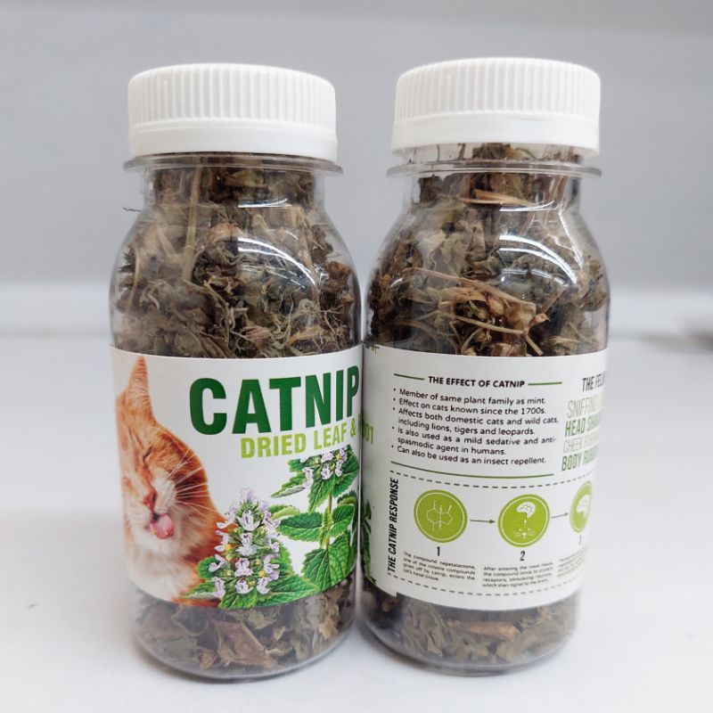 CATNIP BOTOL - Daun Akar CATNIP Makanan Kucing Catmint Obat Birahi Kucing Obat Stress Kucing