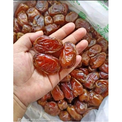

Kurma Madu Mesir 1kg / Kurma Mesir 1kg / Kurma Golden Valley - FRESH PREMIUM SULTANA JAYA