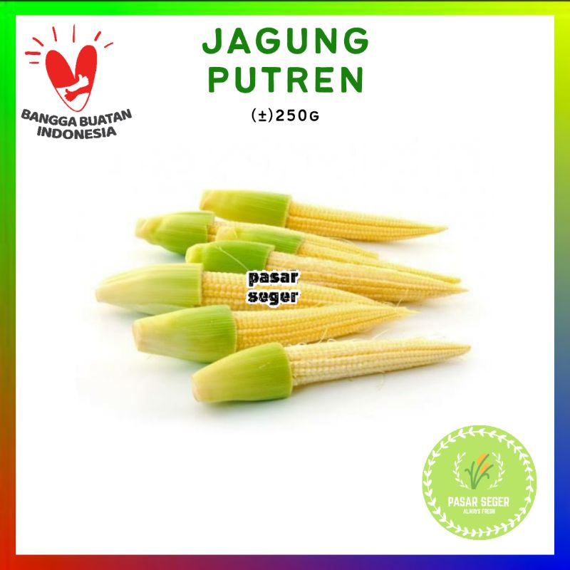 

JAGUNG PUTREN SAYUR [250g]