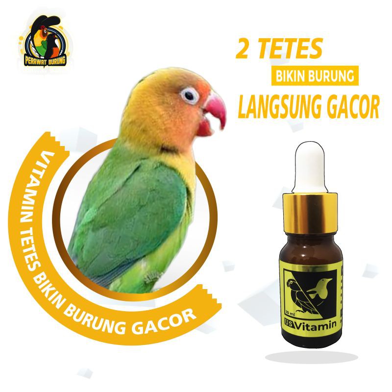 Jual Rbj Bmw Cairan Setan Serum Liur Walet 1pcs Vitamin Penggacor Burung Isi 30ml Hewan Makanan Burung Vitamin Burung Pakan Burung Rbj Vit Vitamin Lovebird Murah Juni 2021 Blibli