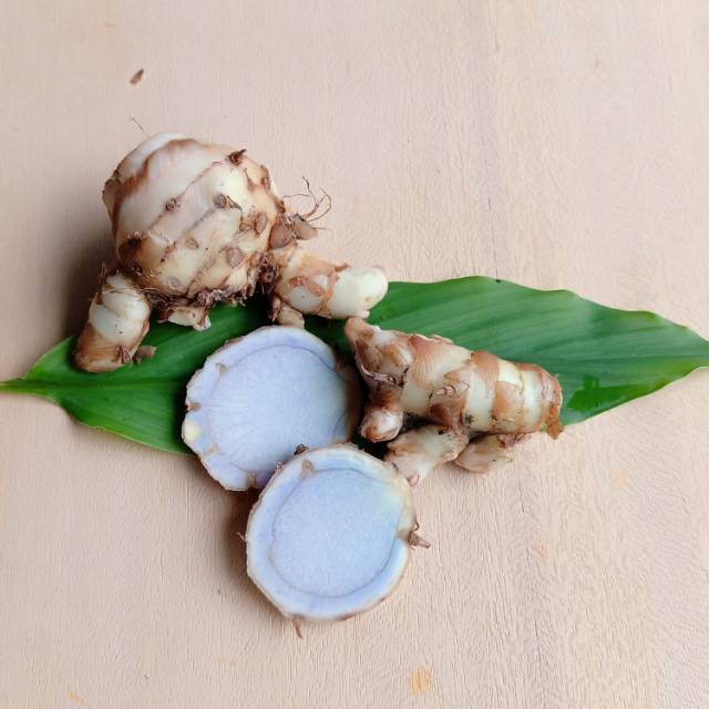 

Temu ireng segar kunyit hitam