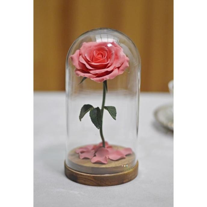 

KADO VALENTINE ROSE PINK KUBAH KACA DG654EAFVD