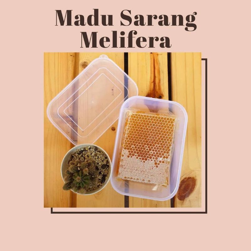 

SARANG MADU LEBAH MELIFERA MADU SARANG