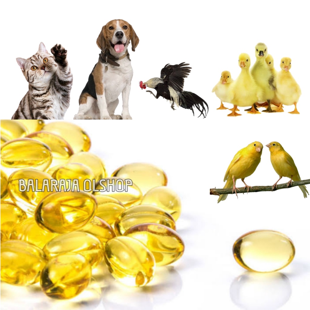 MINYAK IKAN FISH OIL VITAMIN OMEGA BULU KUCING ANJING HAMSTER 1 BUTIR