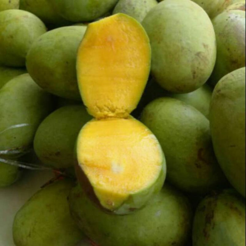 

Mangga Buah Mangga Kaweni Segar 1 kg SAYUR GEDEBAGE PRAKTIS ONLINE BANDUNG