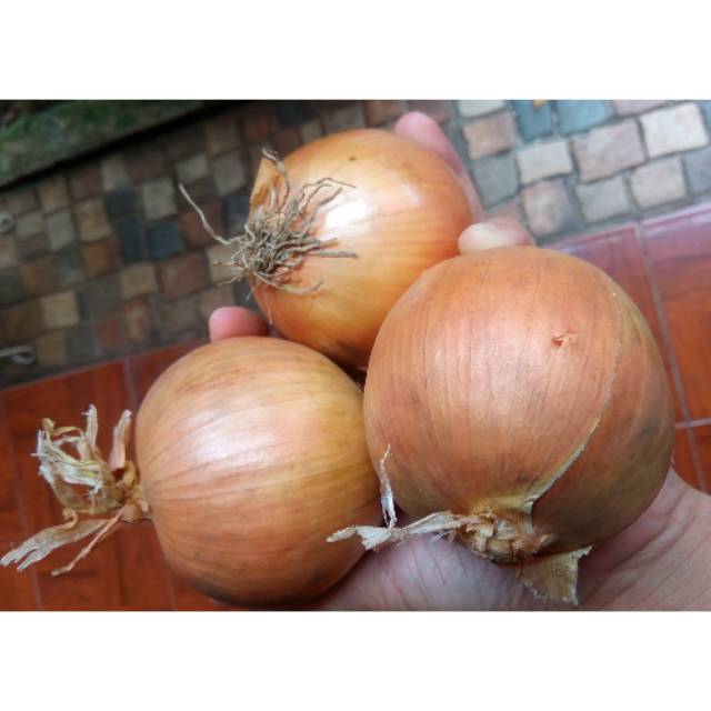 

Bawang Bombay