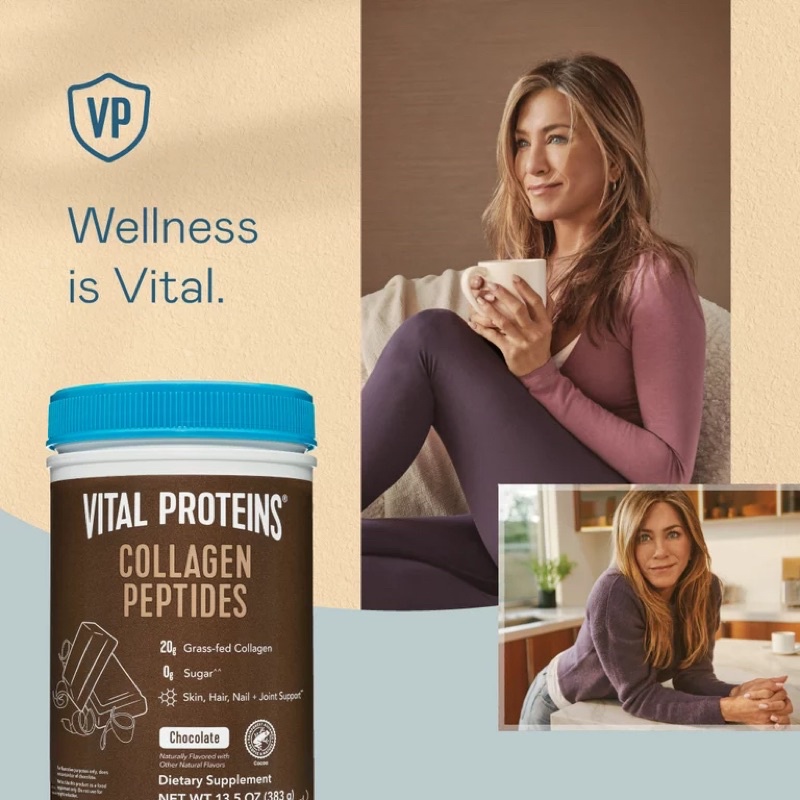 Jual Vital Proteins USA Chocolate Collagen Peptides Supplement Minuman ...