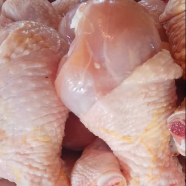 

Ayam pentul(paha bawah)
