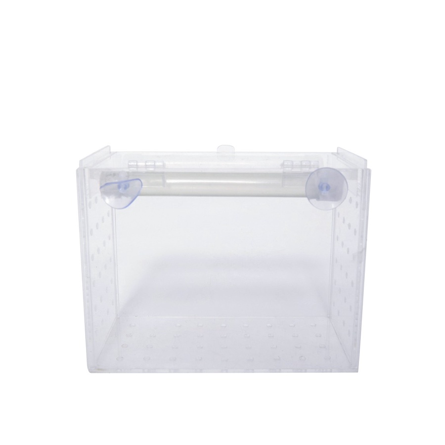 Kotak Box Acrylic Karantina / Akrilik Aklimasi Ikan
