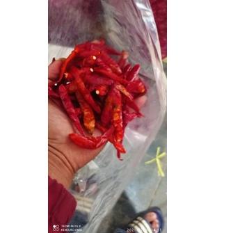 

Bnting Harga❄️ murah ( 1kg ) cengek/cabe rawit teja kering kualitas super pedas #murah