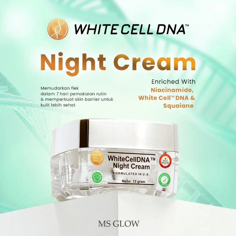 White Cell DNA  night cream ms glow night cream DNA  white cell krim malam white cell dna