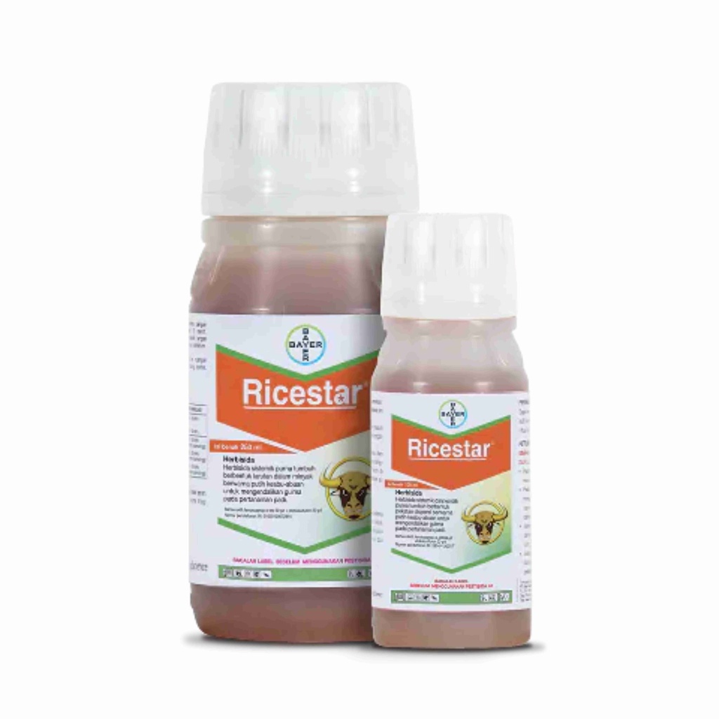 Ricestar-xtra_id Ricestar® Xtra 89 OD