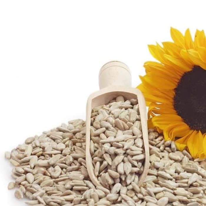

Gilaa!!! Natural Raw Sunflower Seeds ( Biji Bunga Matahari ) - 100 Gr HOT SALE