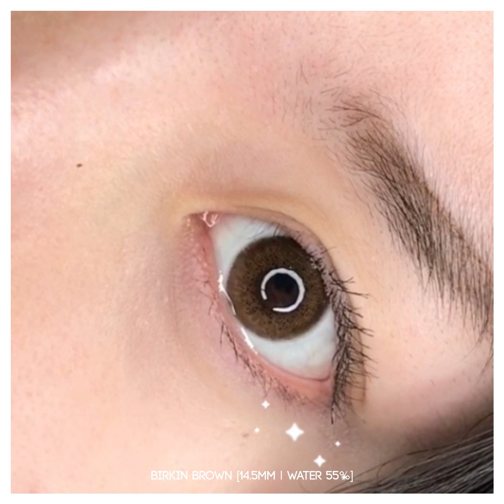 MIKHAYLOVESHOP Softlens Birkin Brown | Kittykawaii