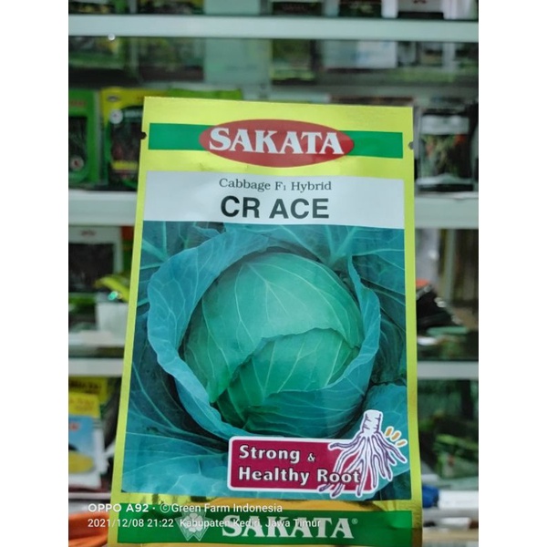 Cabbage F1 Kol Cr Ace kol Super Tahan Akar Gada Kemasan 10gr Original