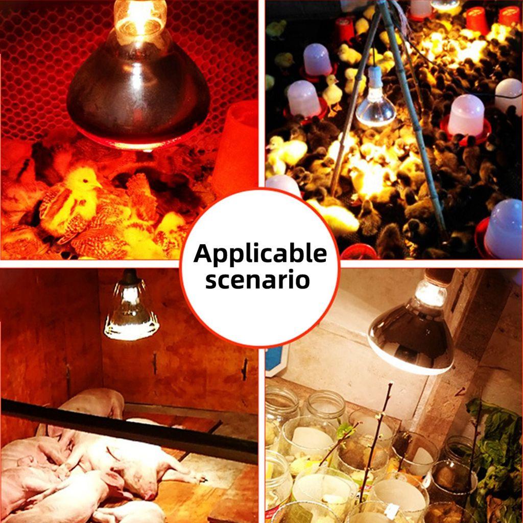 NICKOLAS1 Lampu Pemanas Bohlam Aplikasi Lebar E27 Heat Preservation Menebal Tetas Ayam High Quality Pet Brooder Lamp