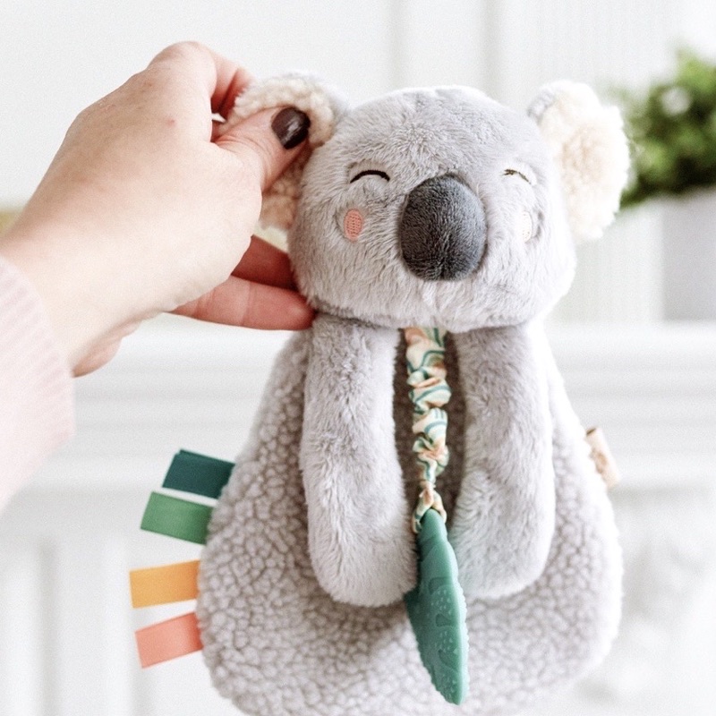 Itzy Ritzy - Lovey Plush and Teether Toy