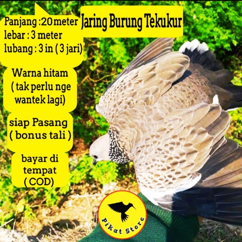 JARING BURUNG TEKUKUR & DERKUKU. 20M × 3M