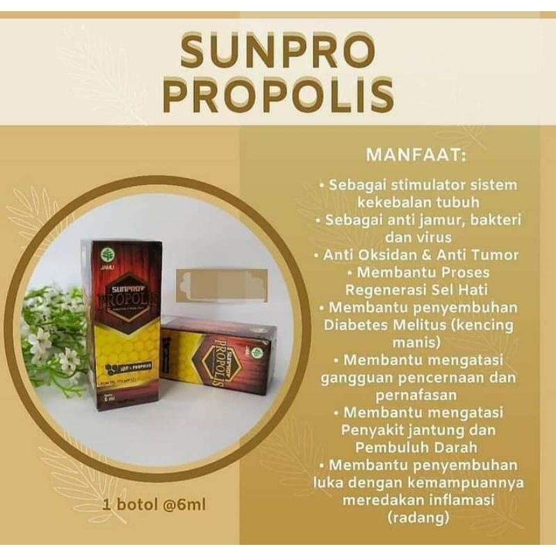 Sun Pro Propolis Nasa 6ml