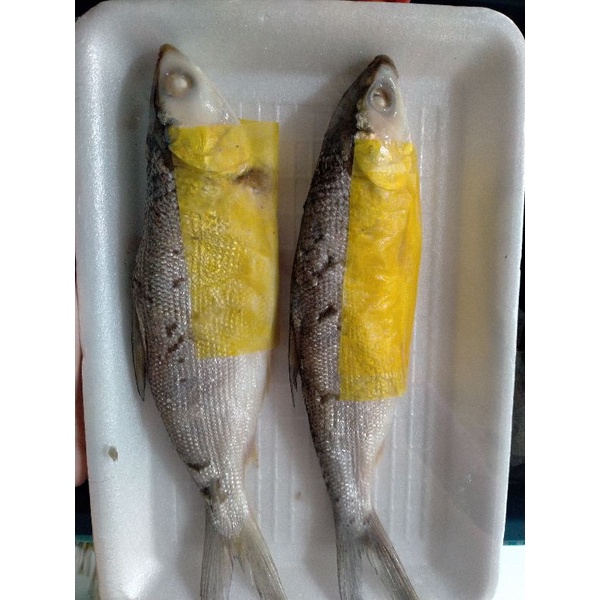 

Ikan Pindang Bandeng