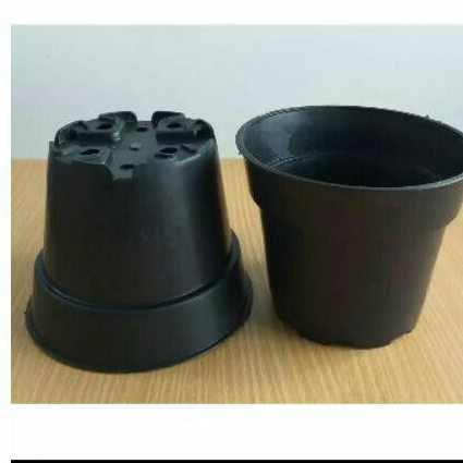 pot hitam 12cm termurah