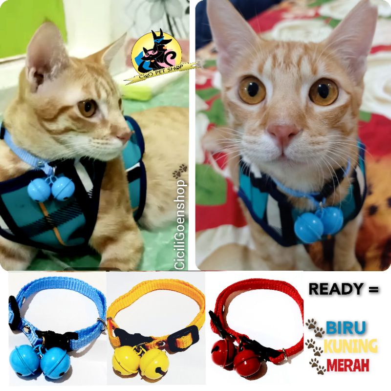 Kalung 2 lonceng murah bell premium collar simple cantik untuk kucing anjing kelinci musang