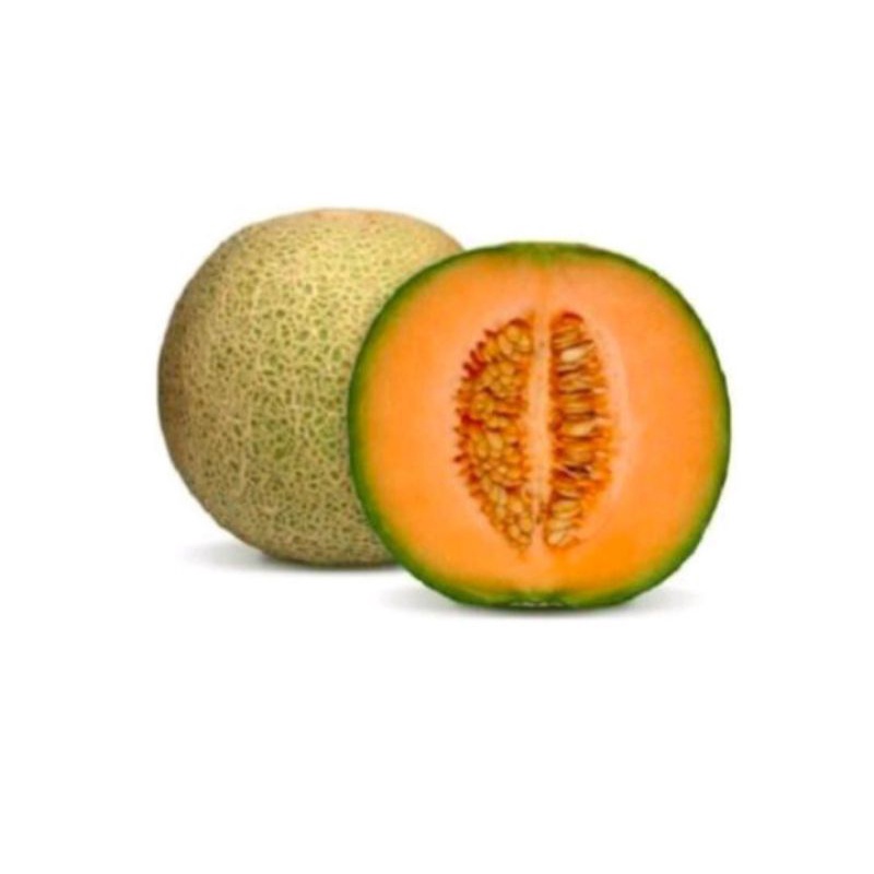 

Buah Melon Orange import manis