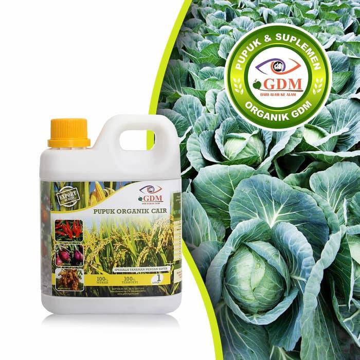 GDM Pupuk Organik Cair untuk Tanaman Pangan Sayur