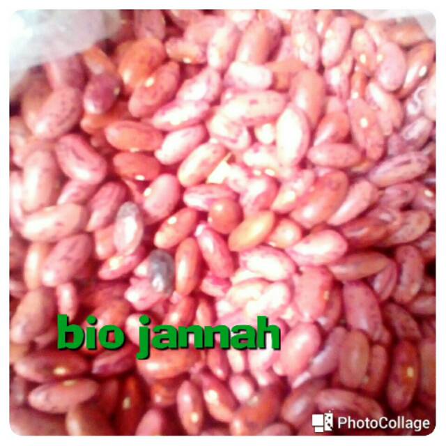

kacang merah 100 gr
