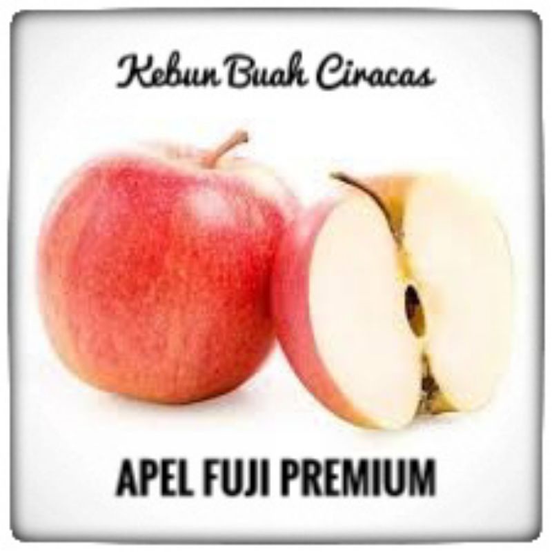 

Apel Fuji Premium per 1kg