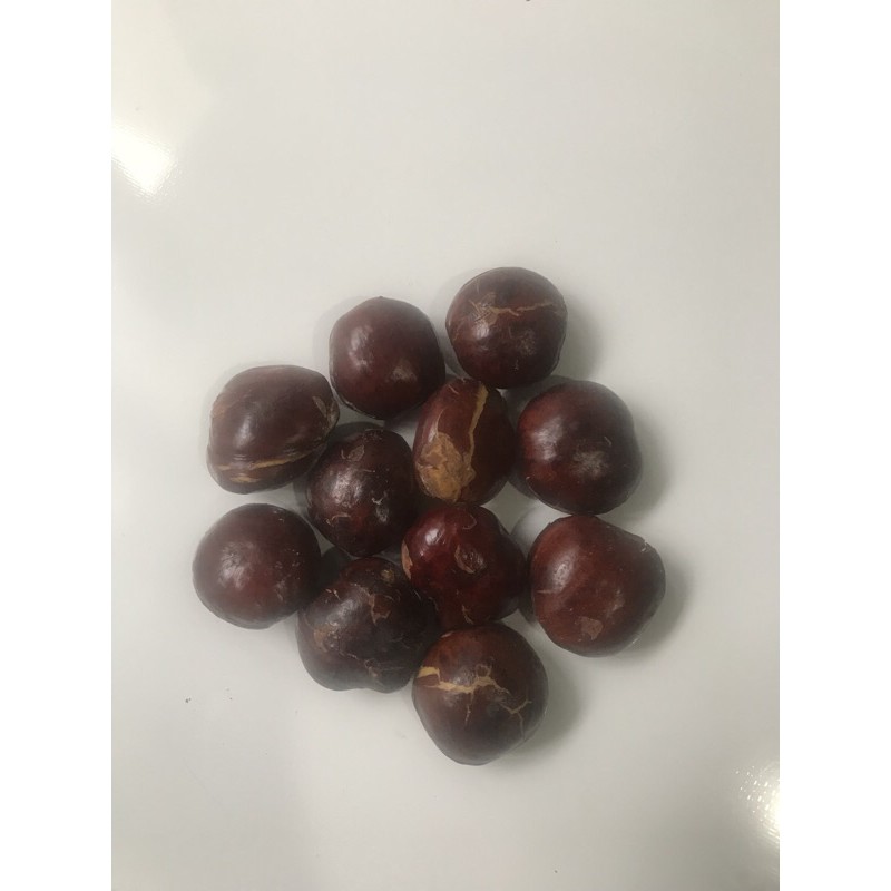 

jengkol 250 gram