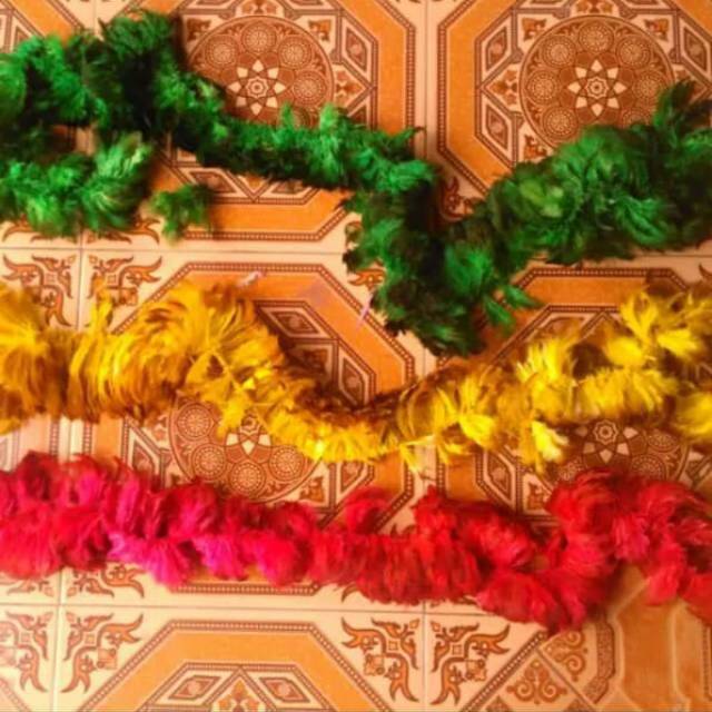 Bulu meteran ayam warna warni