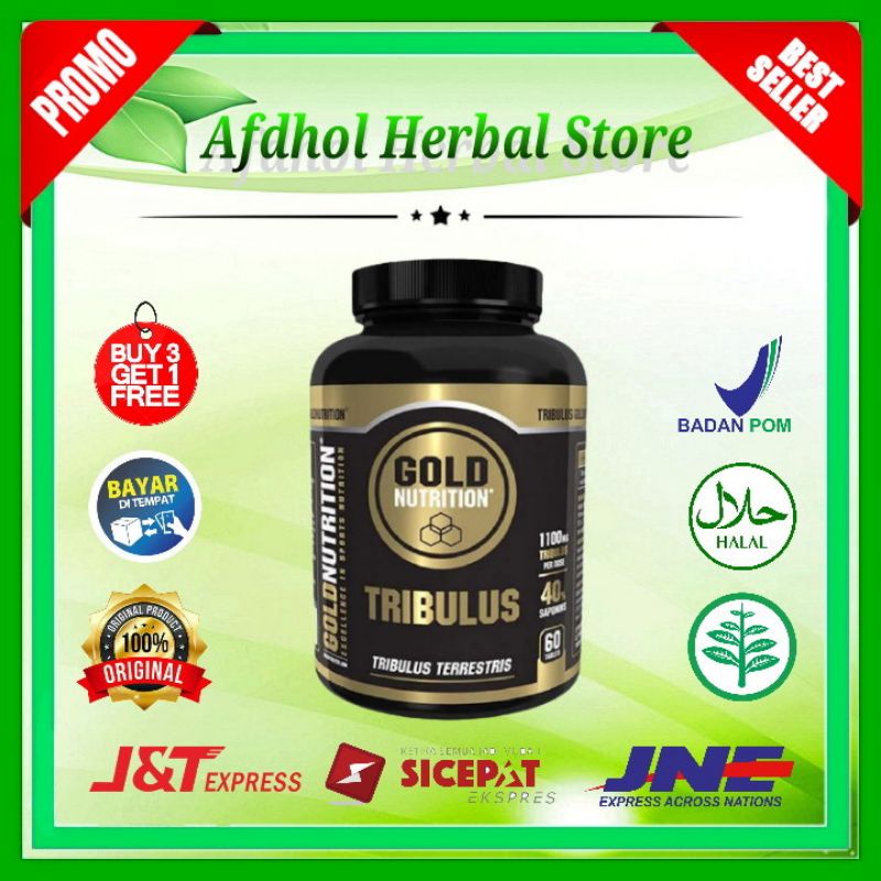 Tribulus gold. Obat Tribulus gold hormon pria. Suplement pria. Tribulus testosteron- stack asli