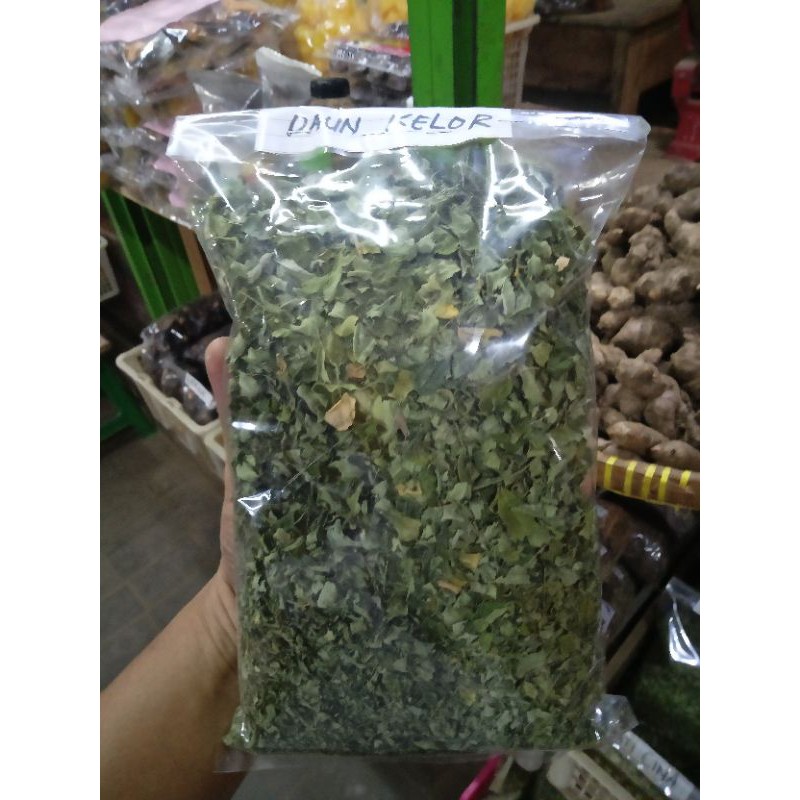 

DAUN KELOR