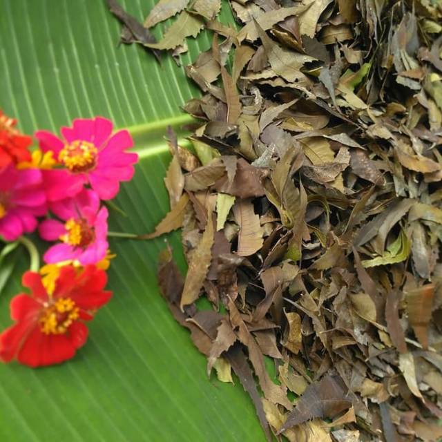 

Daun Mimba Kering 1 kg